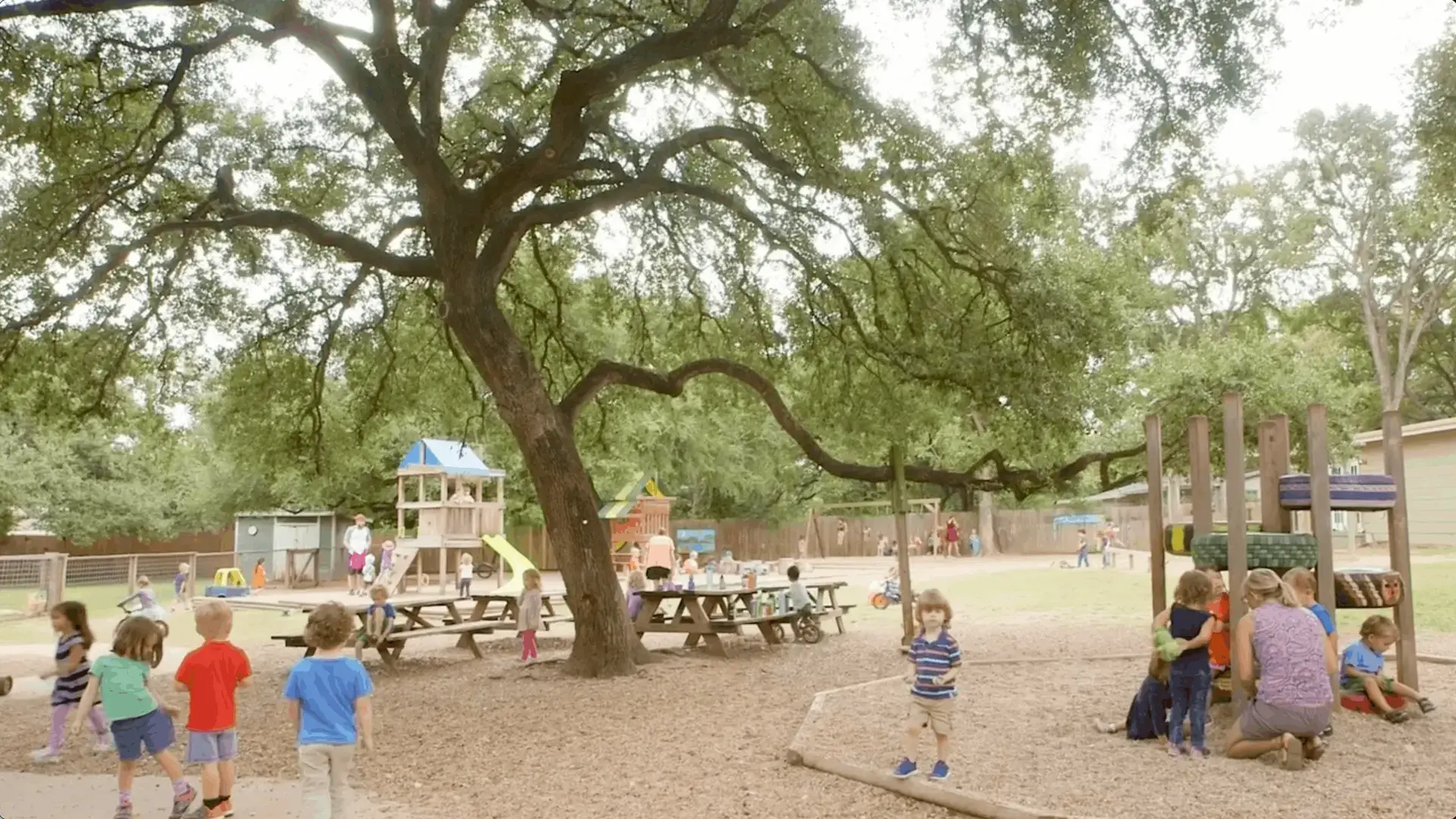 elementary students playing outdoors under a large tree on the playground.