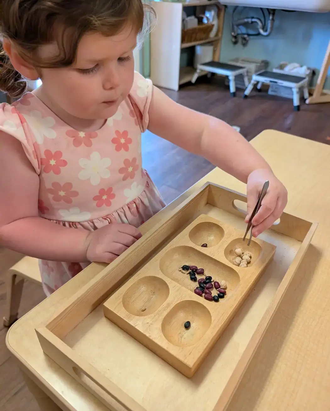 Young child using tweezers to sort beans and small objects into a wooden tray during a hands-on classroom activity.