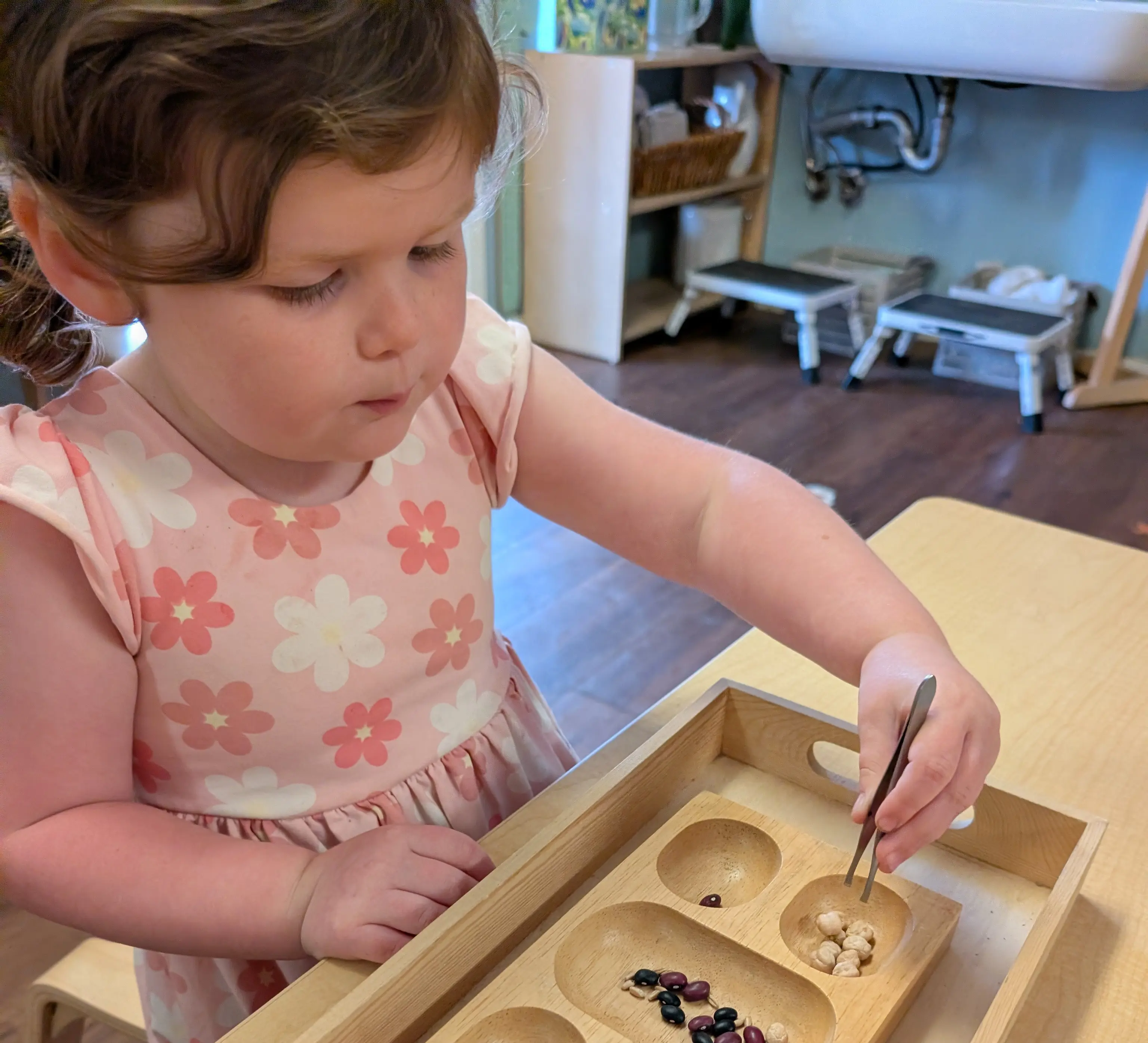 Young Children’s Community student uses tweezers to sort small objects during a fine motor Montessori activity at a classroom table.
