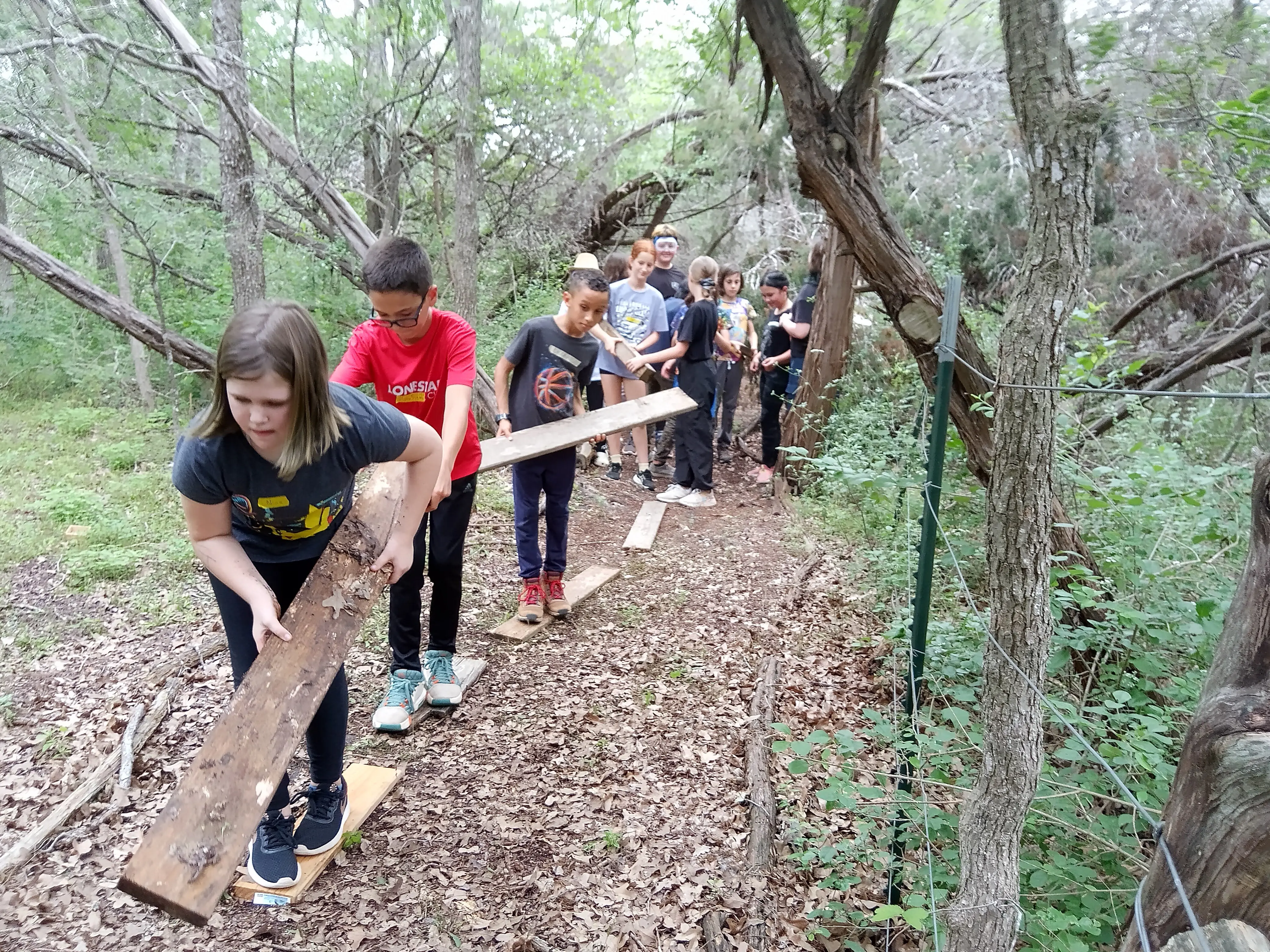 Students working together to place a wooden board across a natural forest pathway.