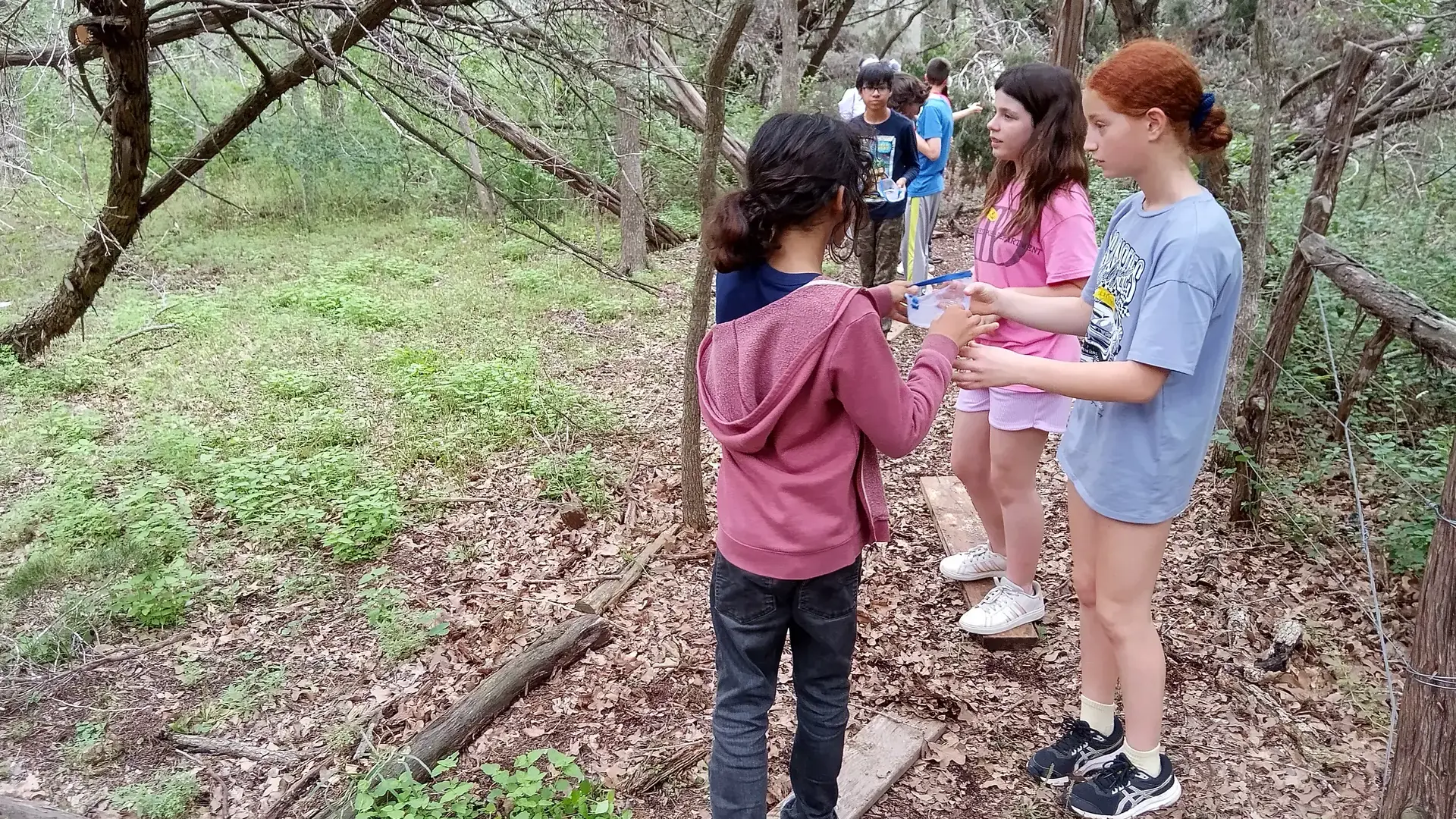 Students working together outdoors in the Bird's Nest wooded area.