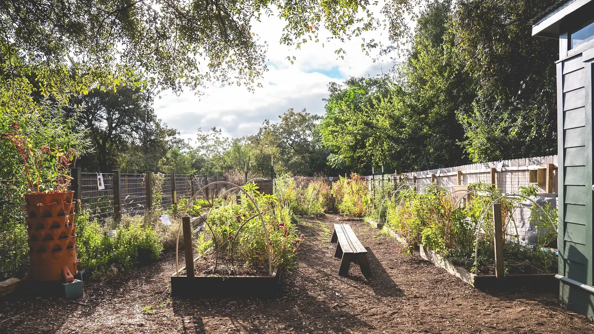 Raised garden beds with a bench along a wooded pathway at the Creek Campus.