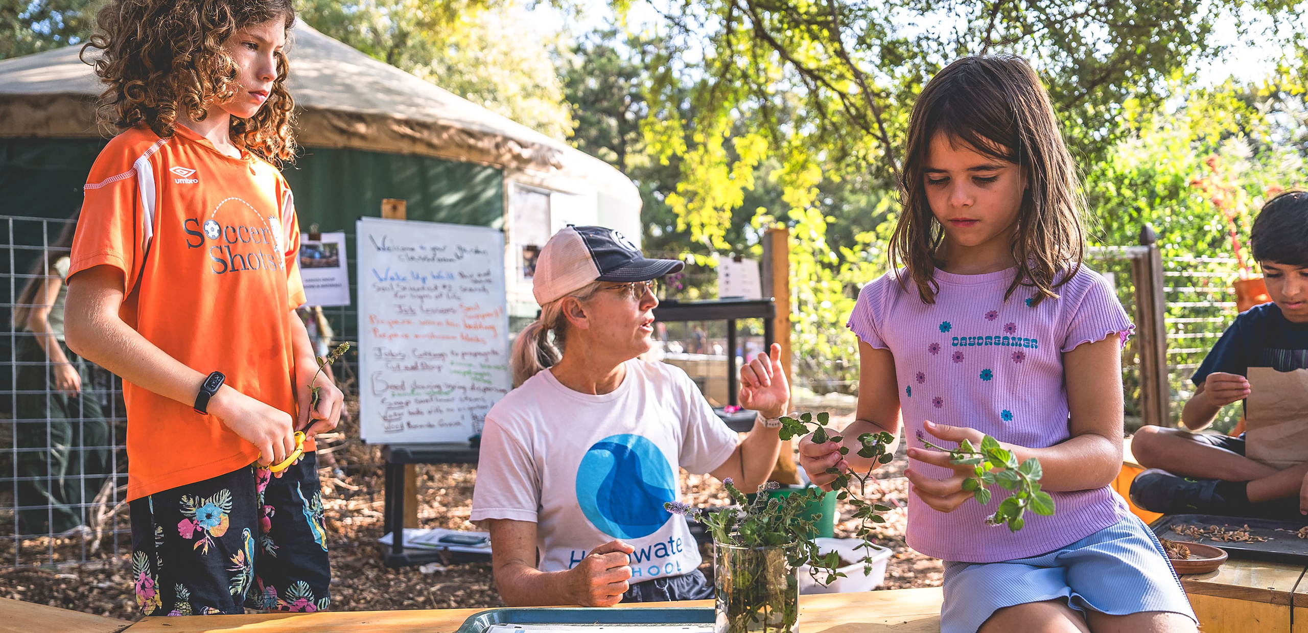 elementary students examining plant cuttings with their teacher outdoors during a gardening lesson.