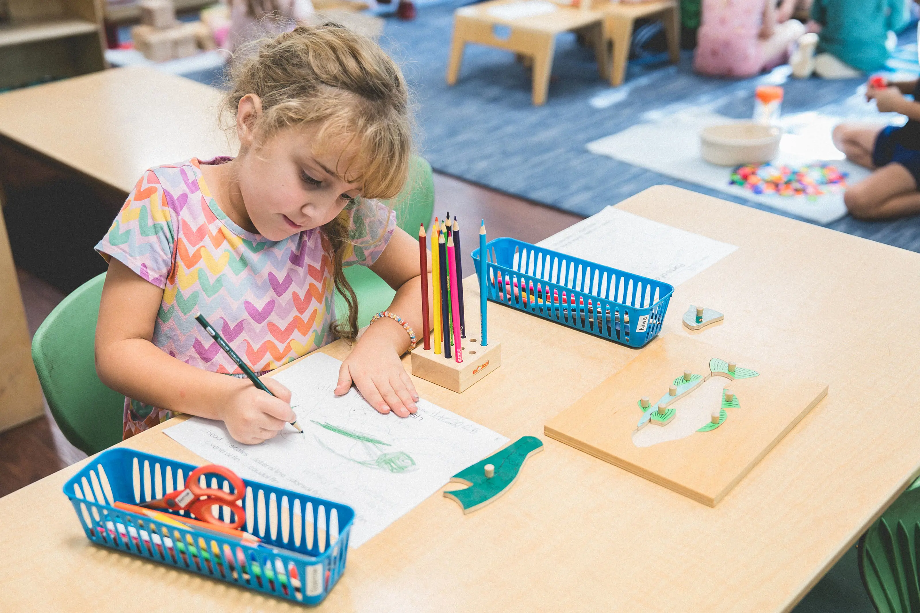elementary student drawing and writing at her desk.