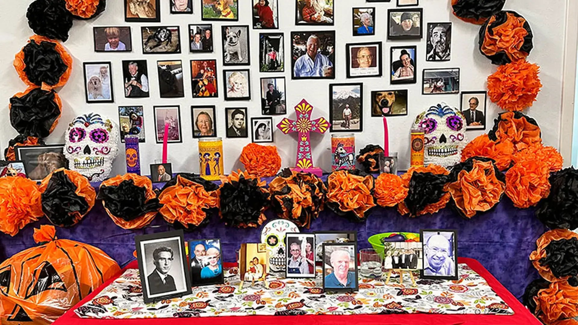A Día de los Muertos altar decorated with marigolds, photographs, and skull imagery.