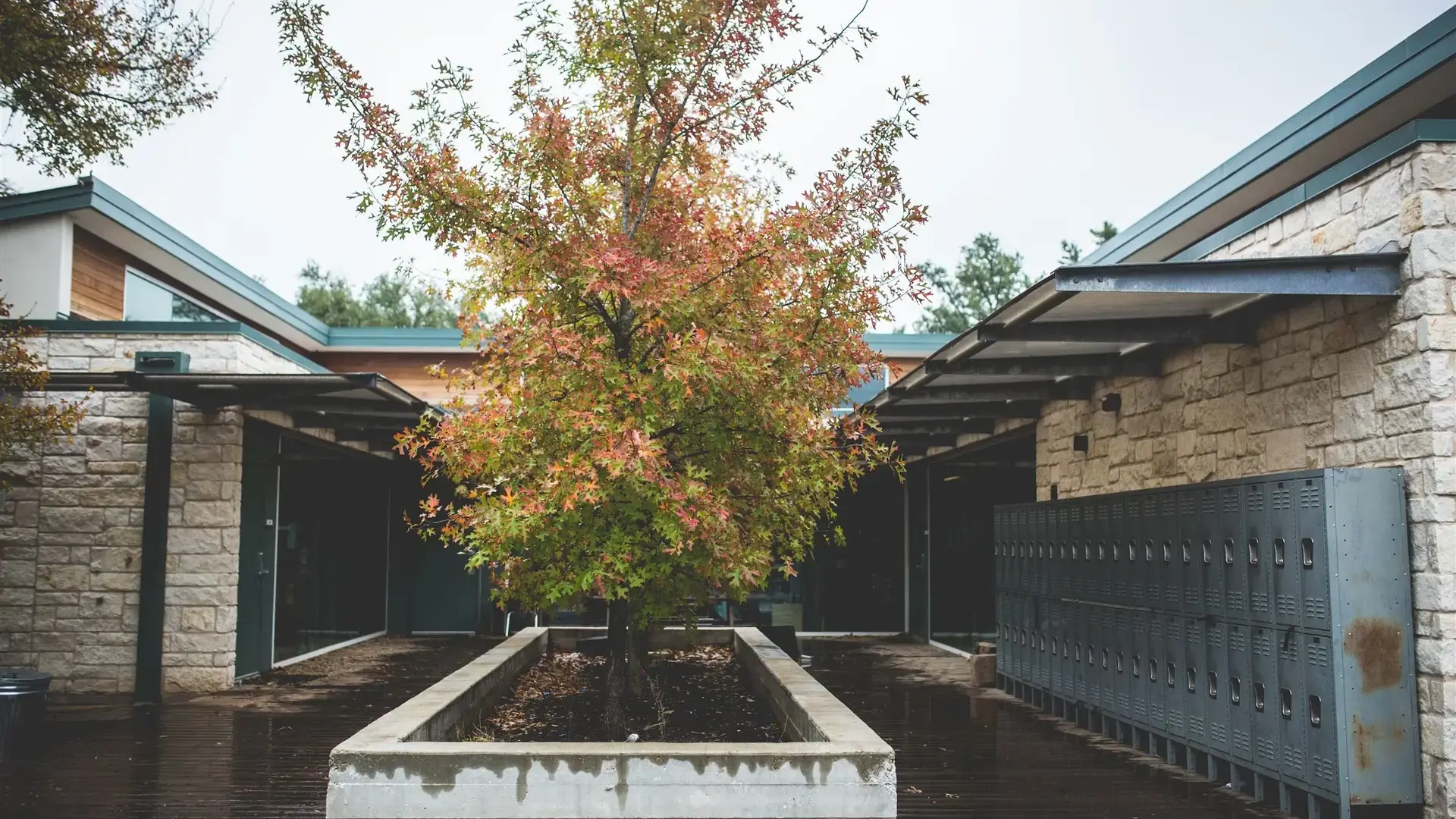 Exterior courtyard of a school building with a tree in the center walkway.