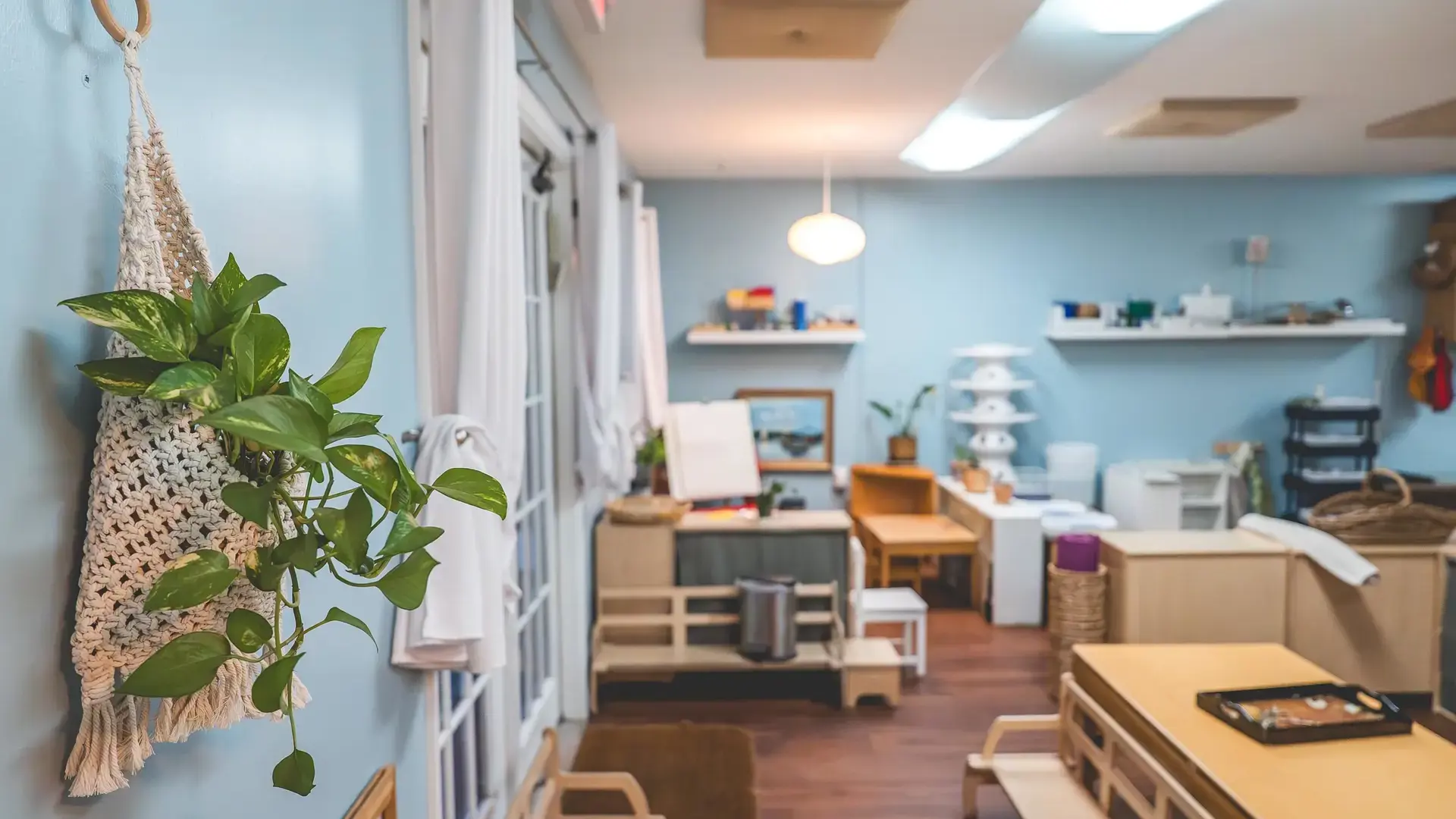 Montessori classroom with a hanging plant and low wooden furniture.