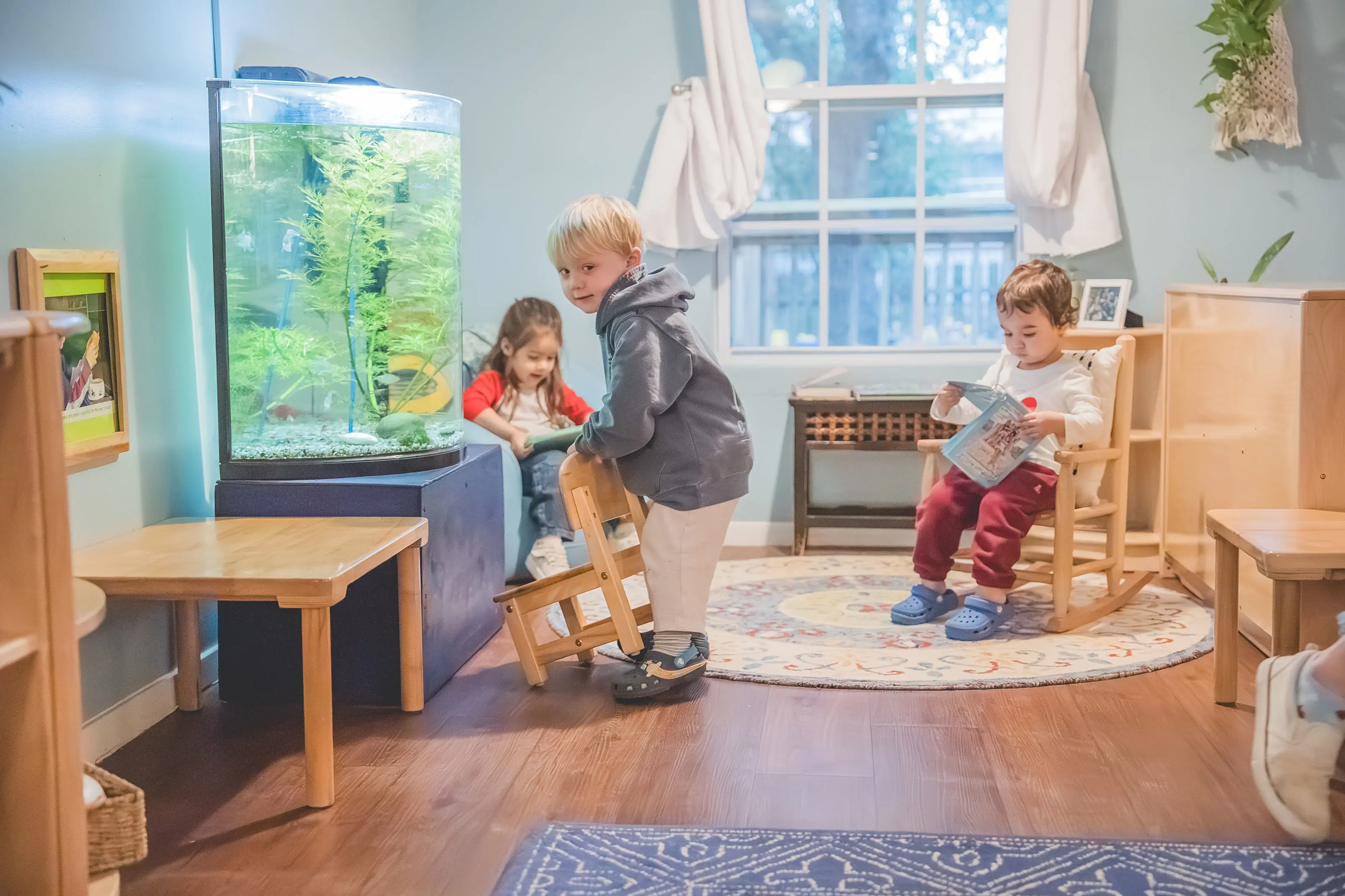 young children exploring the class fish tank and reading in a headwaters school early childhood classroom